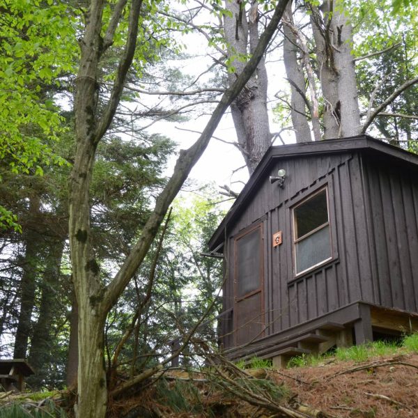Bark 2 Cabin